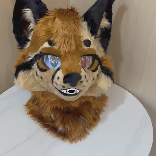 Orange lynx fursuit head with black tufted ears — video