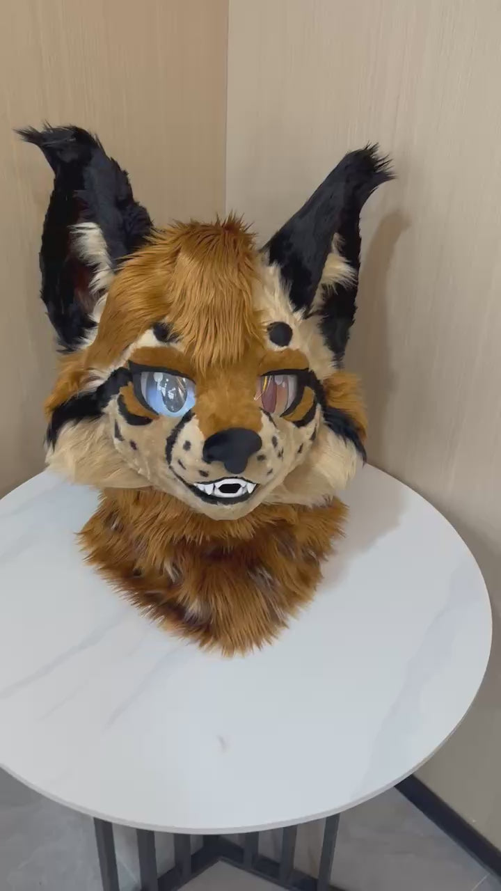 Orange lynx fursuit head with black tufted ears — video